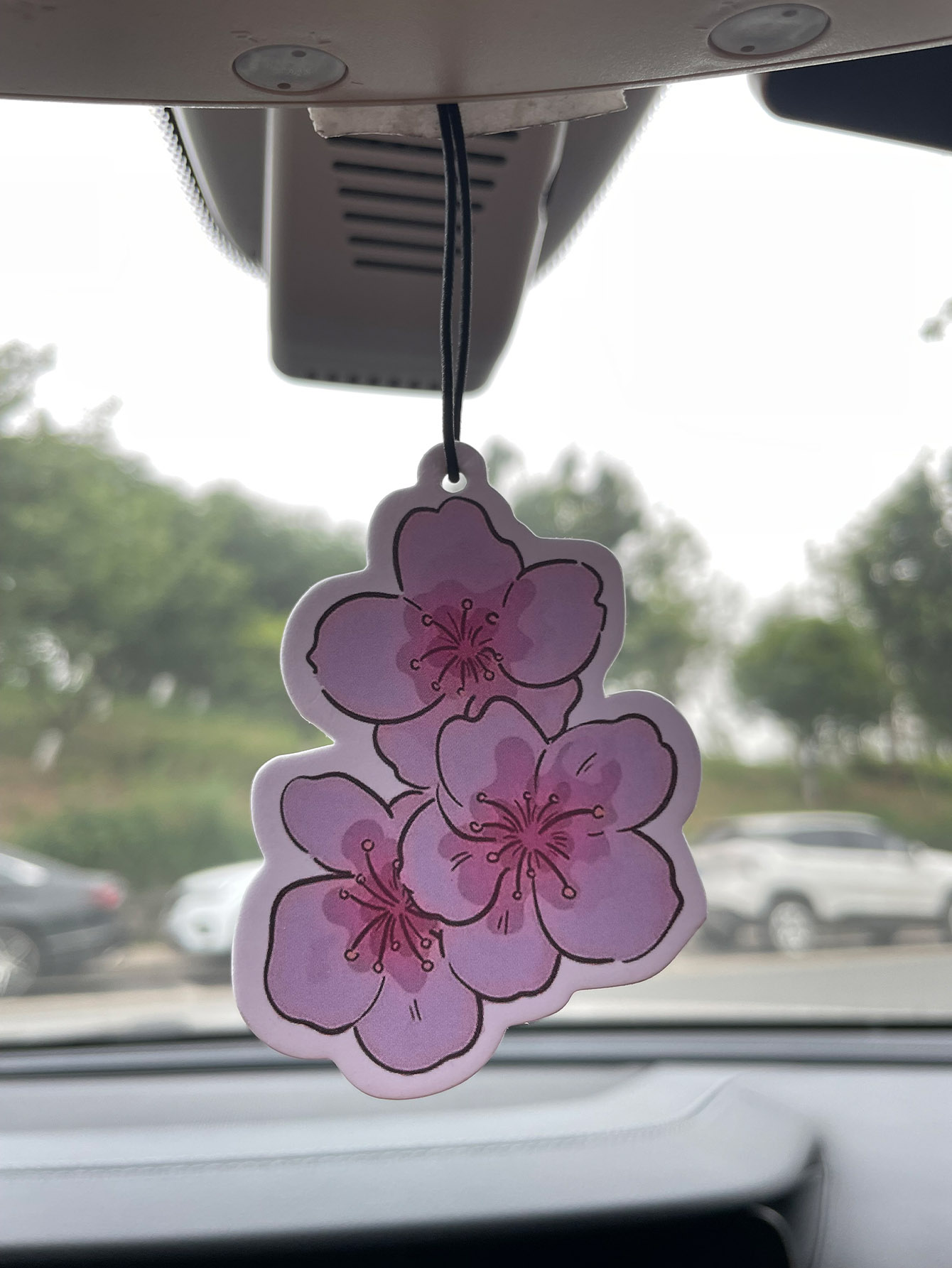 Sakura/Freesia Fresh Scent Fiv - Perfume Fragrance Type review and price