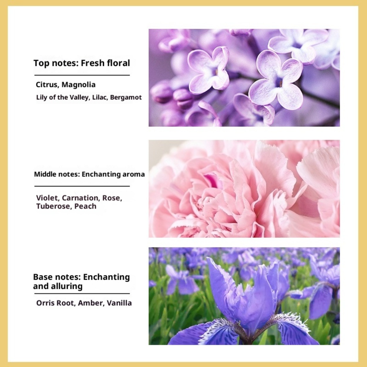 No. 5 Women's Eau de Toilette: - Perfume High Fragrance review and price